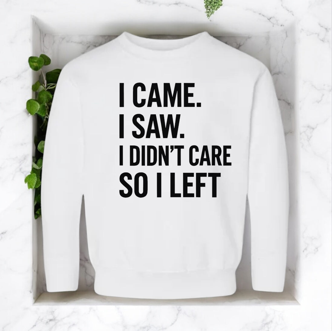 I Didn’t Care Sweatshirt