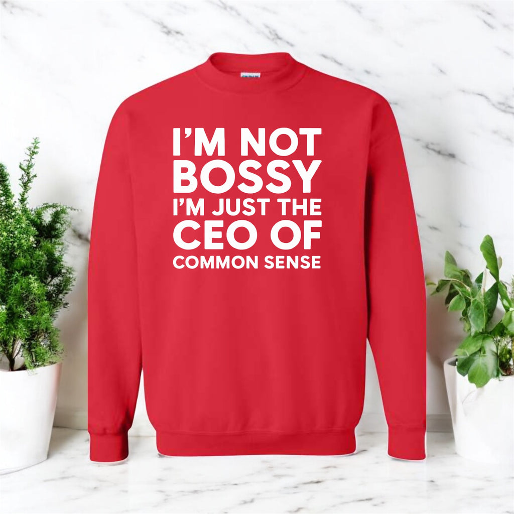 CEO of Common Sense Sweatshirt