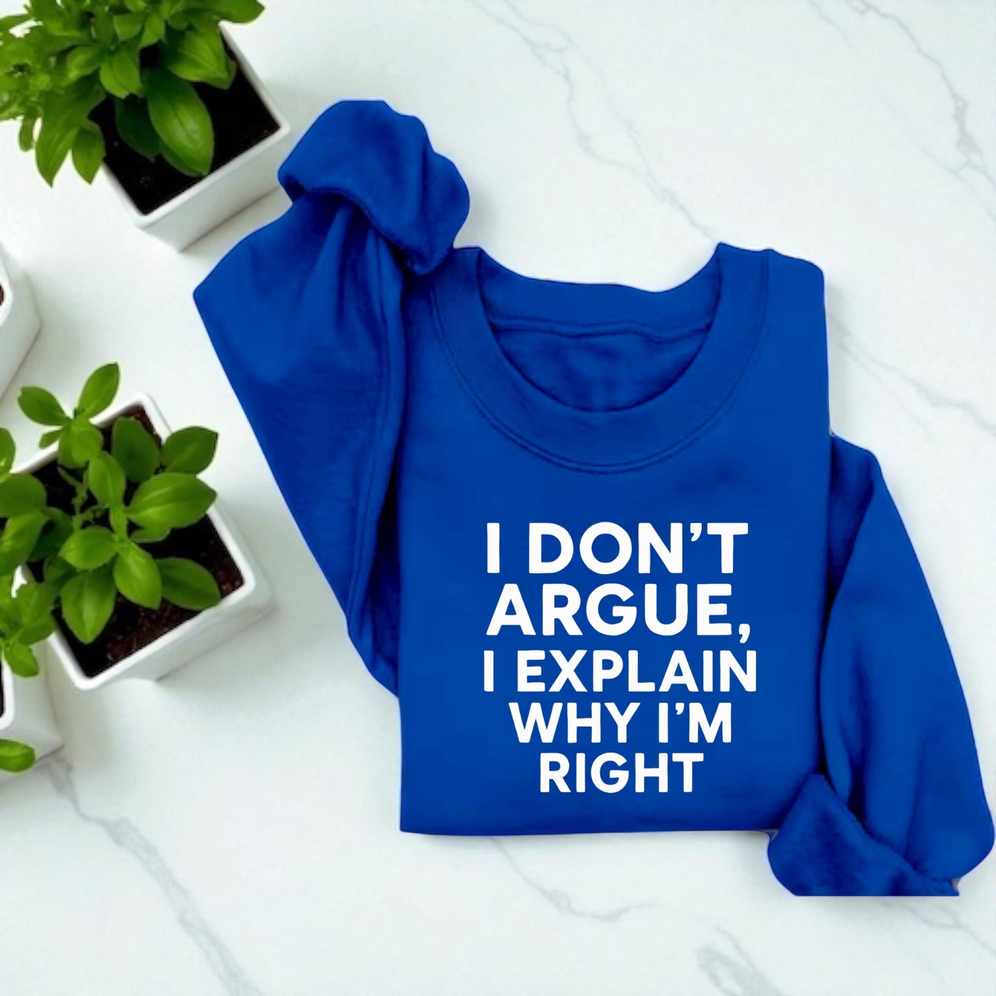 I Don’t Argue, I Explain Adult Sweat Shirts