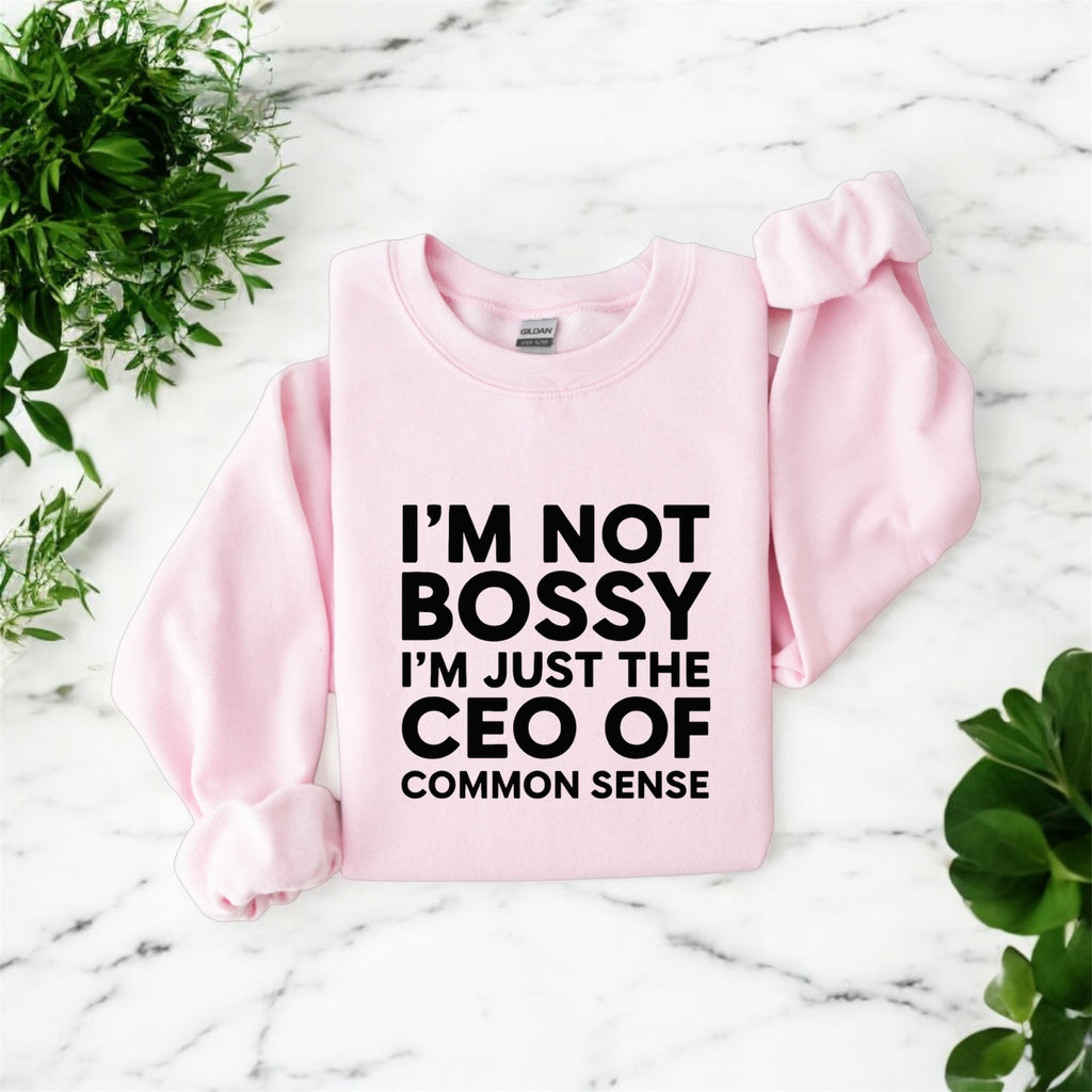 CEO of Common Sense Sweatshirt