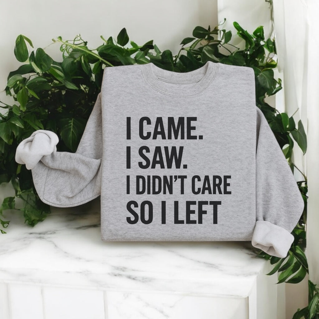I Didn’t Care Sweatshirt