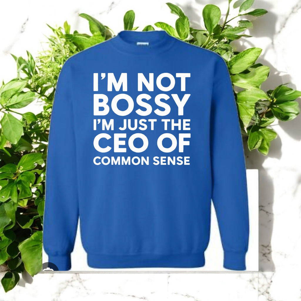 CEO of Common Sense Sweatshirt