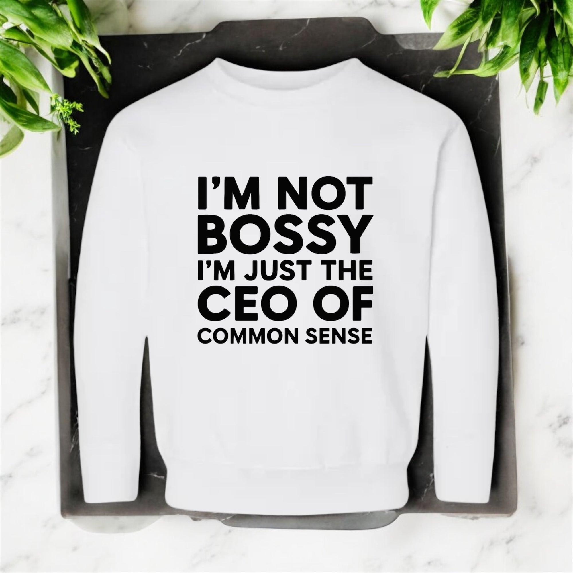 CEO of Common Sense Sweatshirt