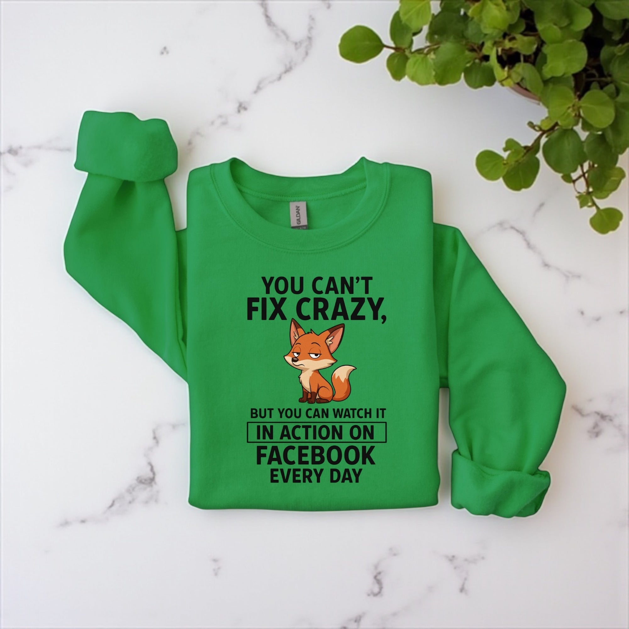 You Can’t Fix Crazy Sweatshirt