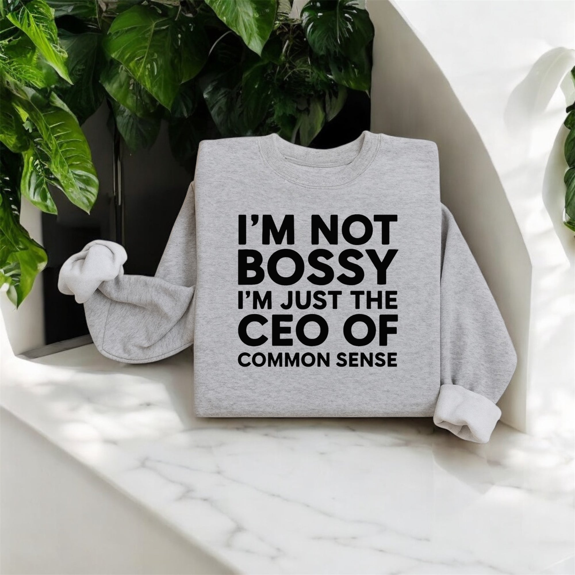 CEO of Common Sense Sweatshirt