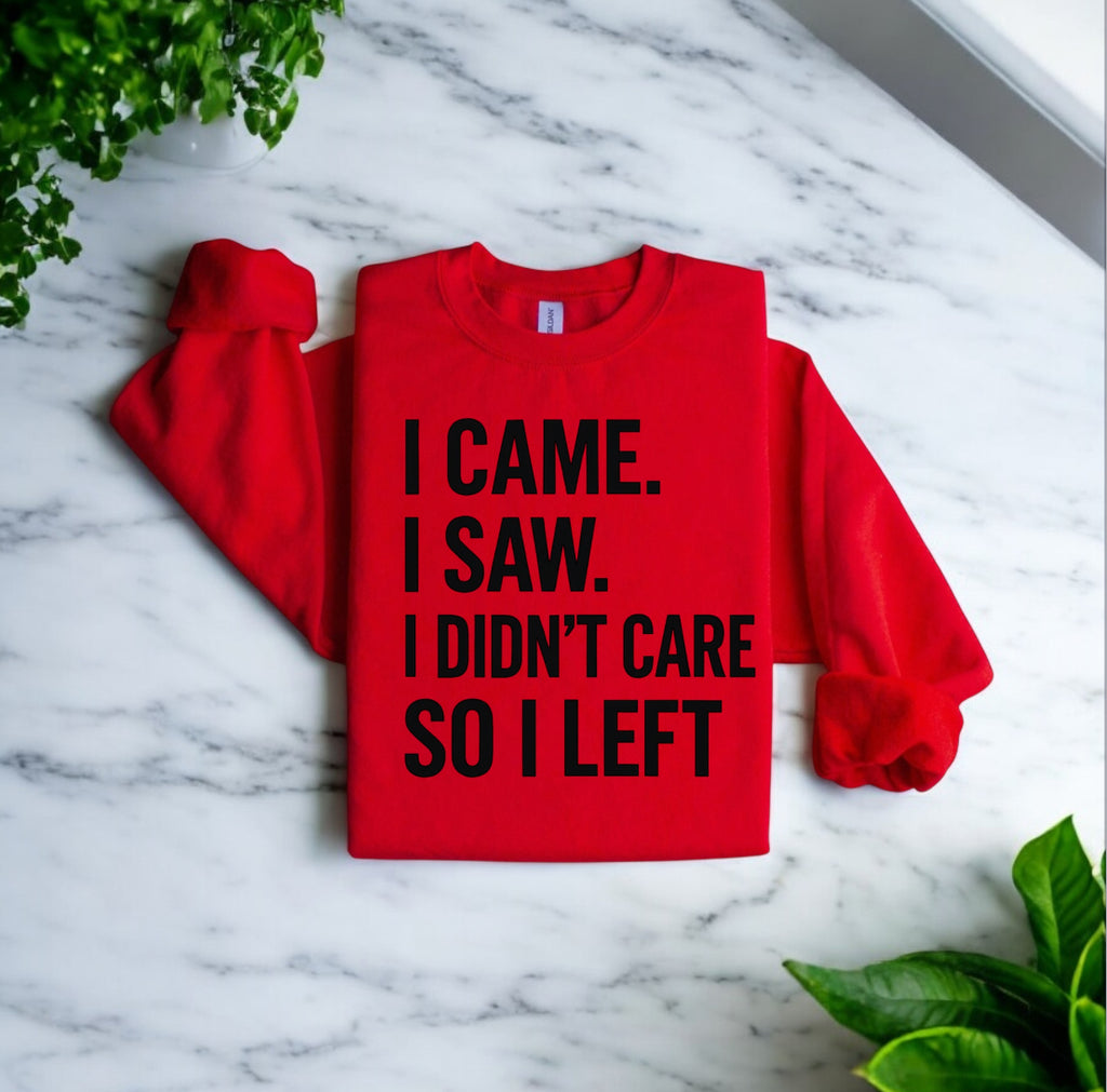 I Didn’t Care Sweatshirt