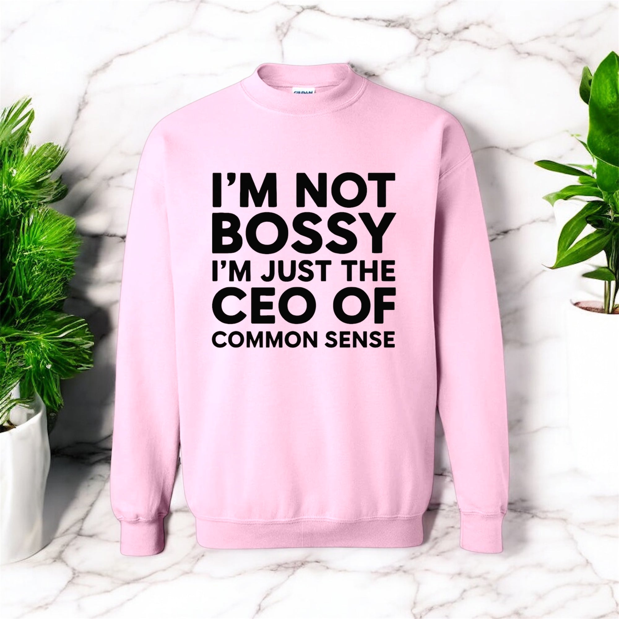 CEO of Common Sense Sweatshirt