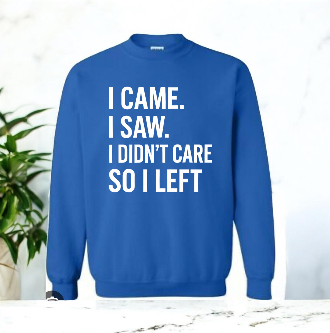 I Didn’t Care Sweatshirt