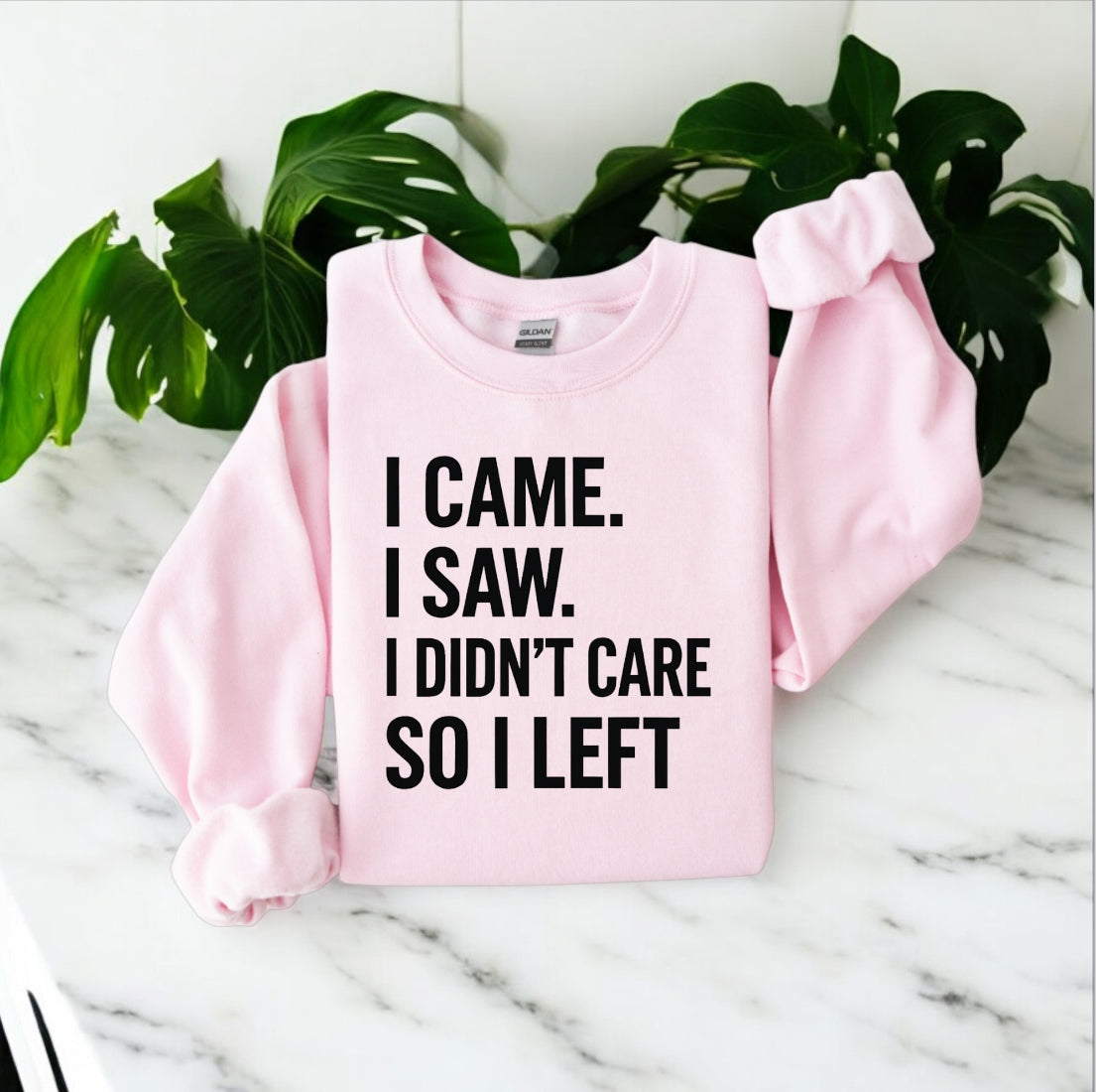 I Didn’t Care Sweatshirt