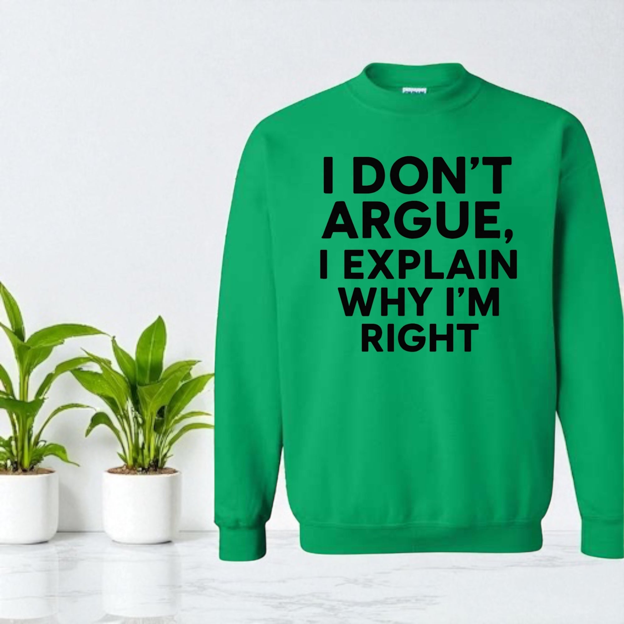 I Don’t Argue, I Explain Adult Sweat Shirts