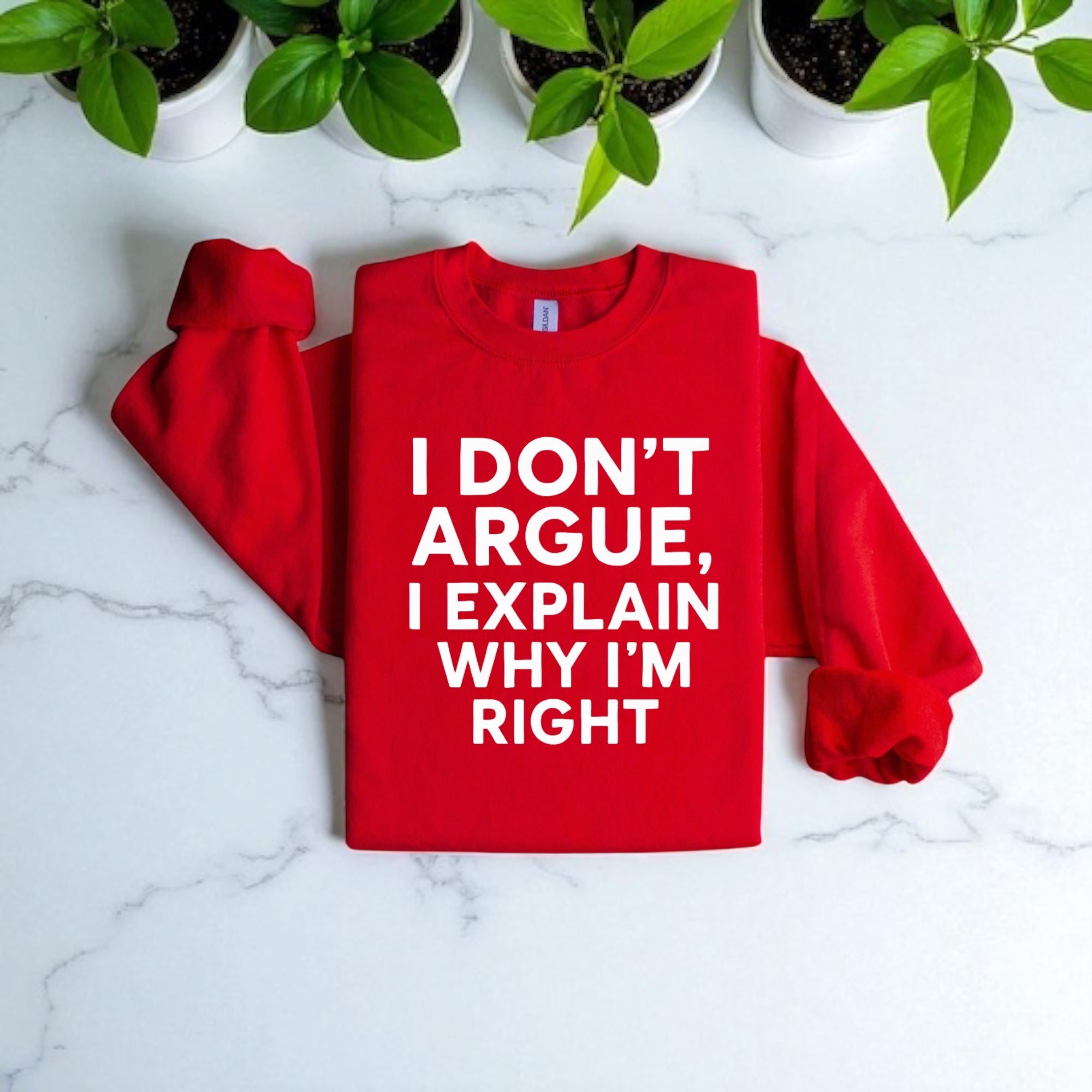 I Don’t Argue, I Explain Adult Sweat Shirts