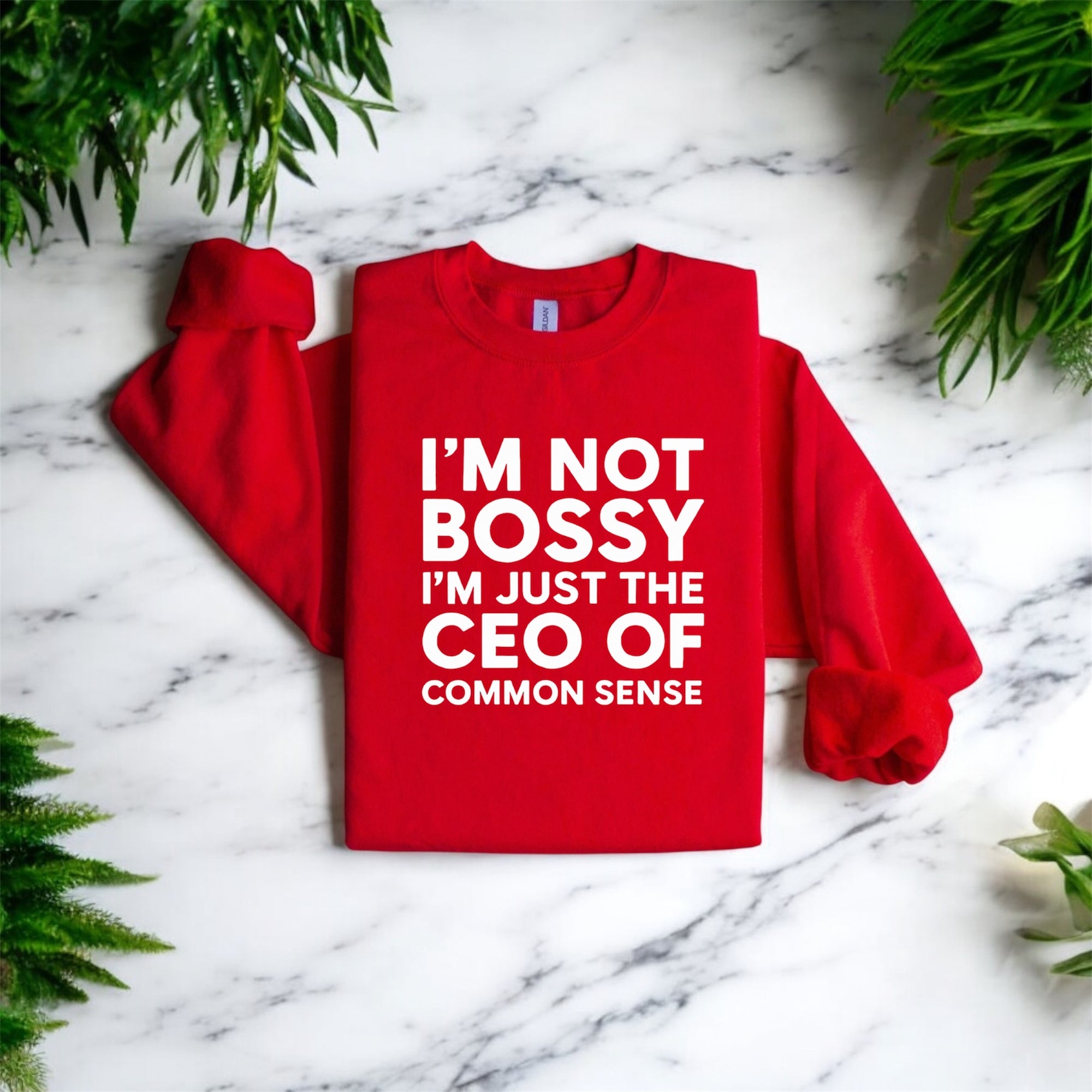 CEO of Common Sense Sweatshirt