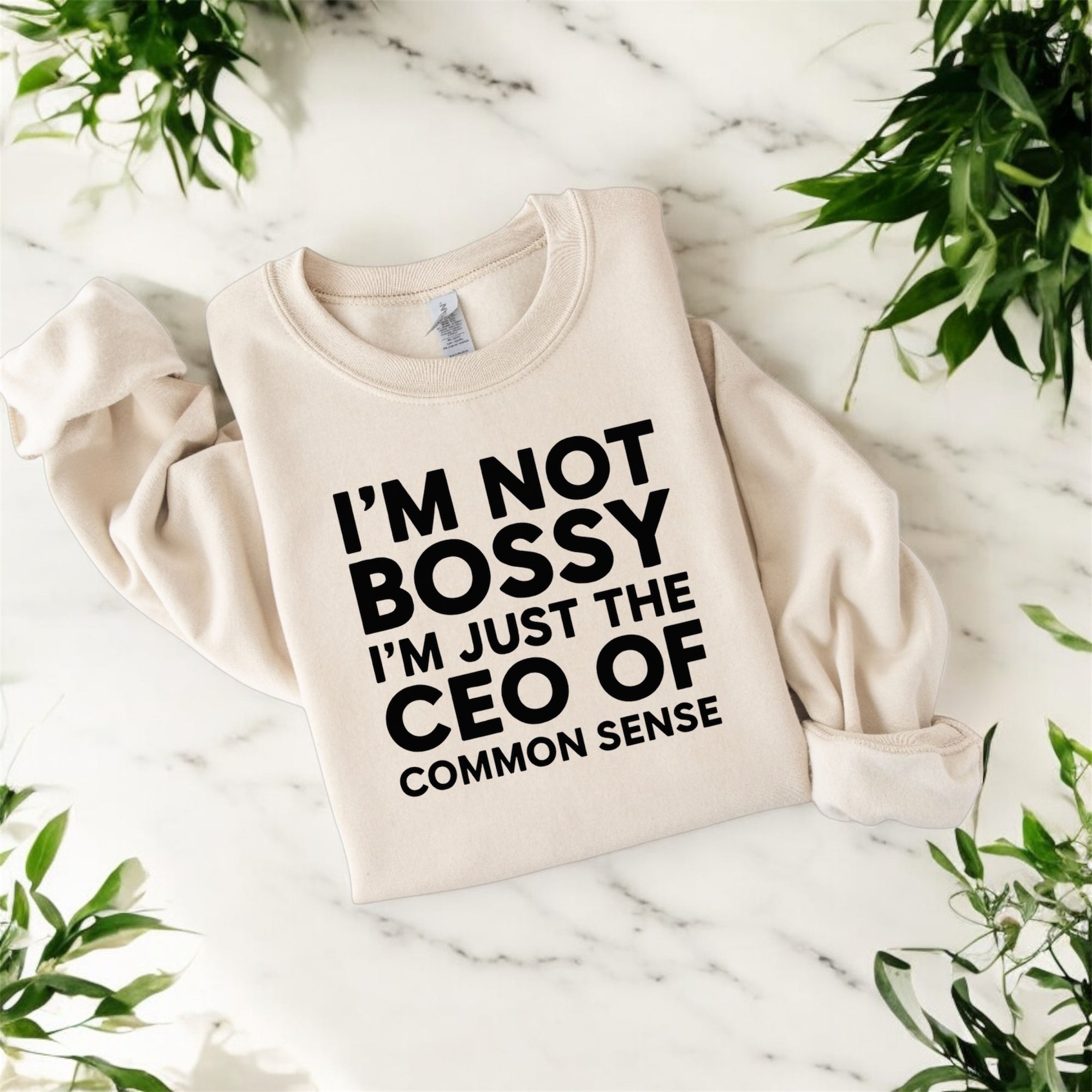 CEO of Common Sense Sweatshirt