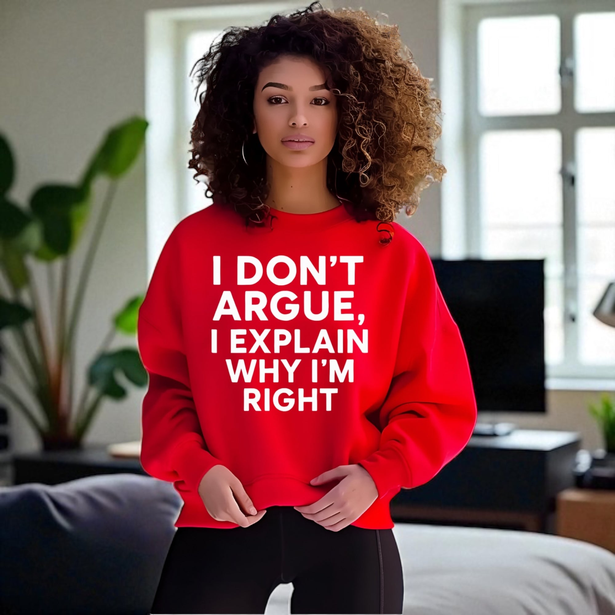 I Don’t Argue, I Explain Adult Sweat Shirts