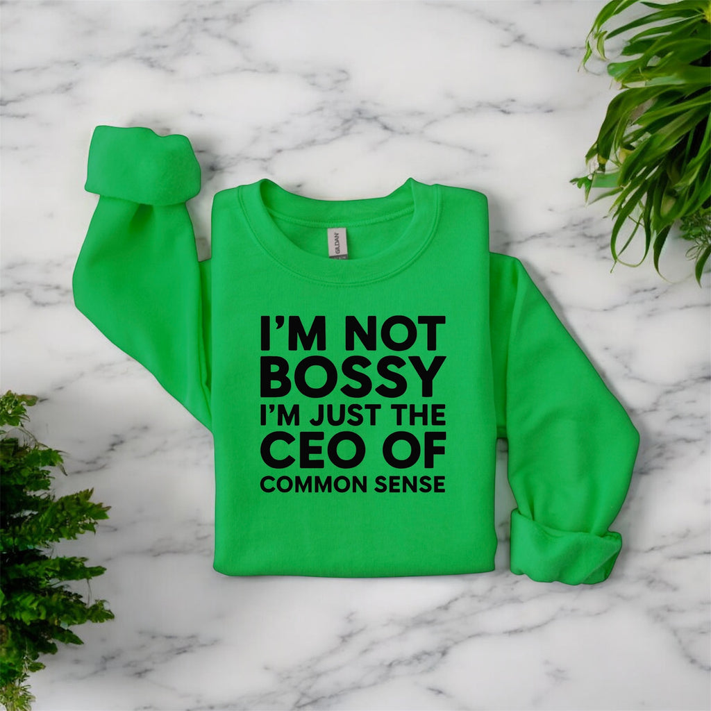 CEO of Common Sense Sweatshirt