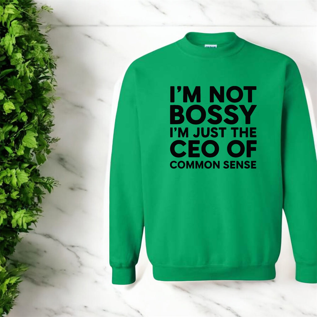 CEO of Common Sense Sweatshirt