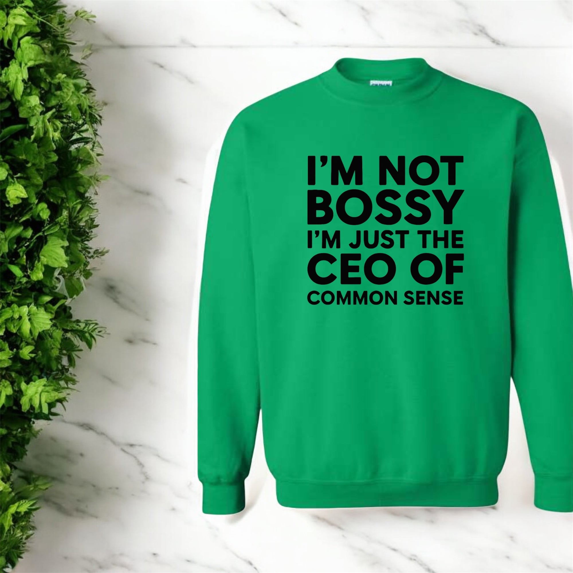 CEO of Common Sense Sweatshirt