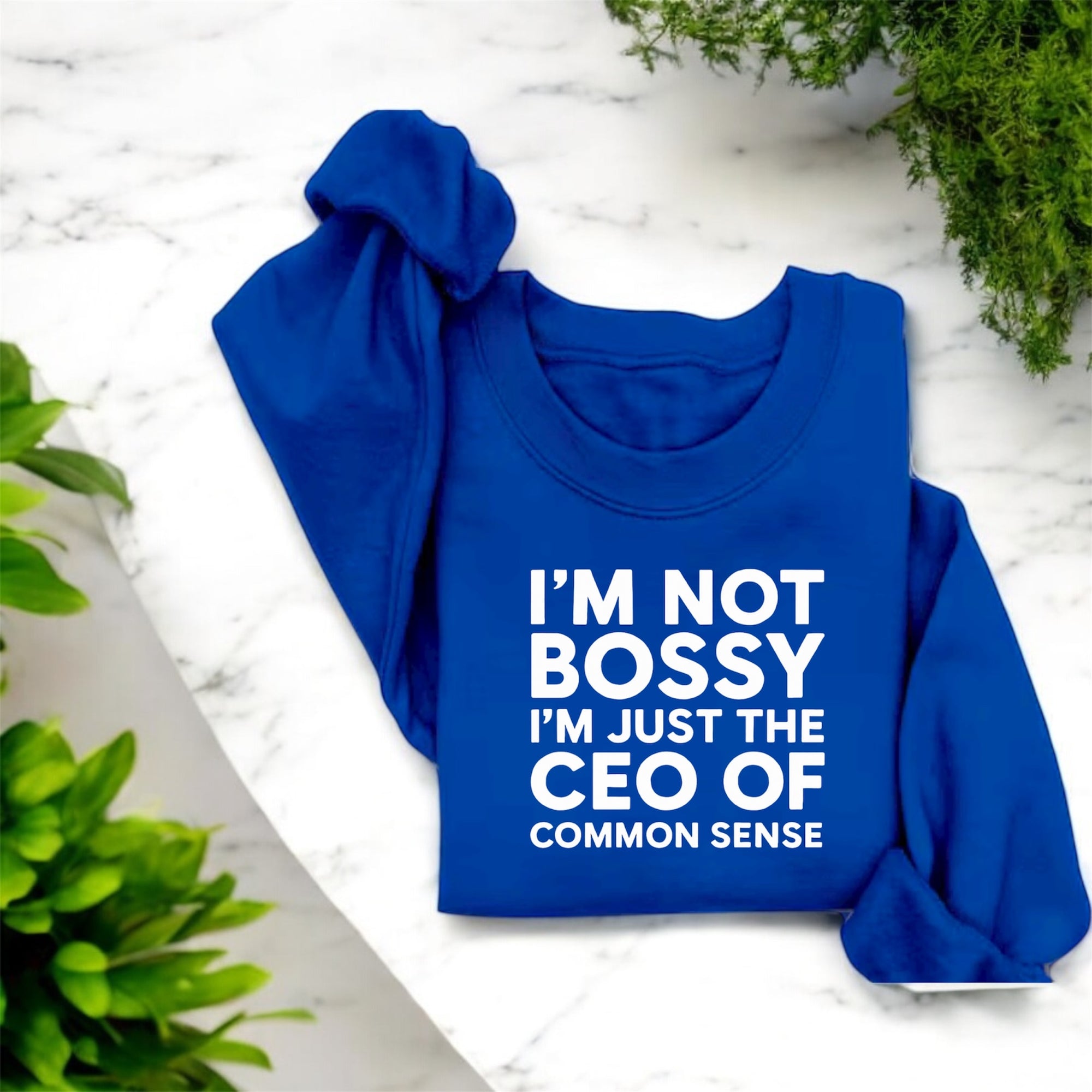 CEO of Common Sense Sweatshirt
