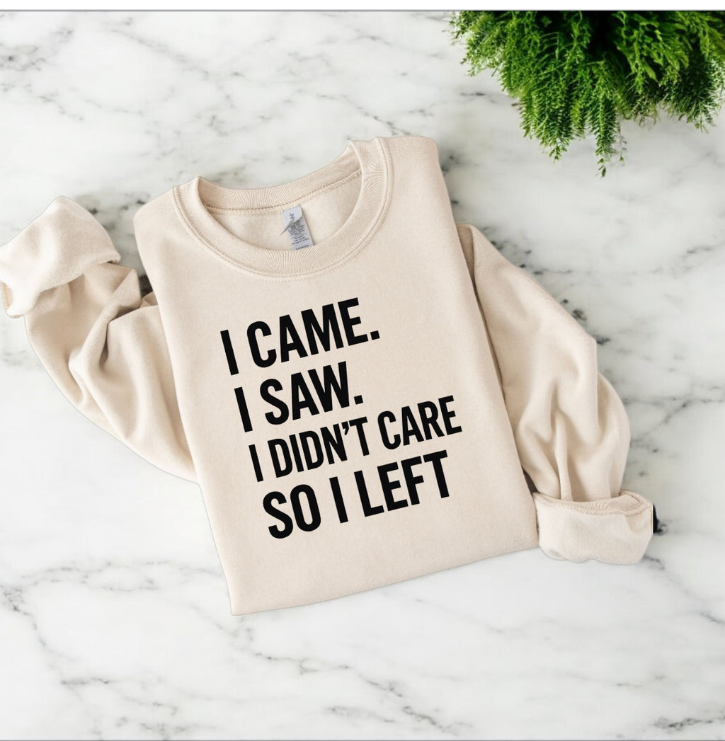 I Didn’t Care Sweatshirt