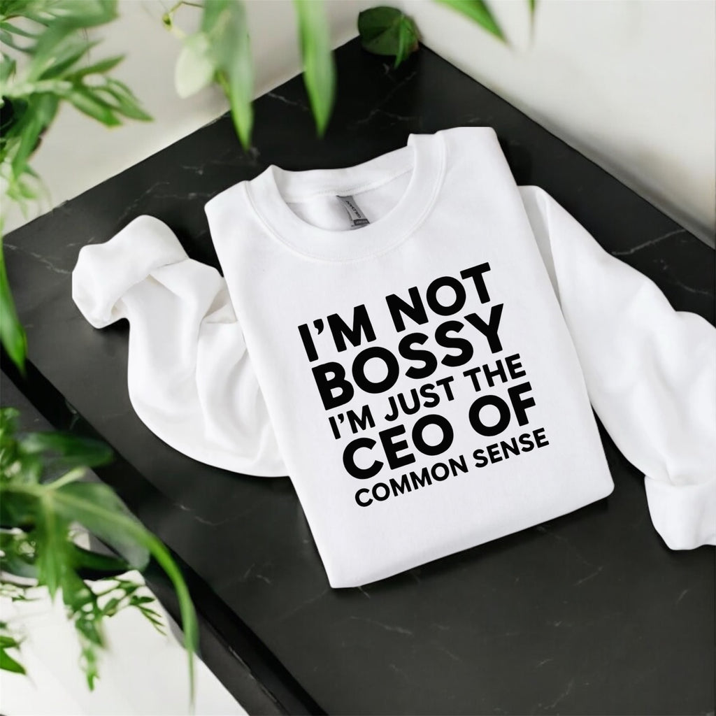 CEO of Common Sense Sweatshirt