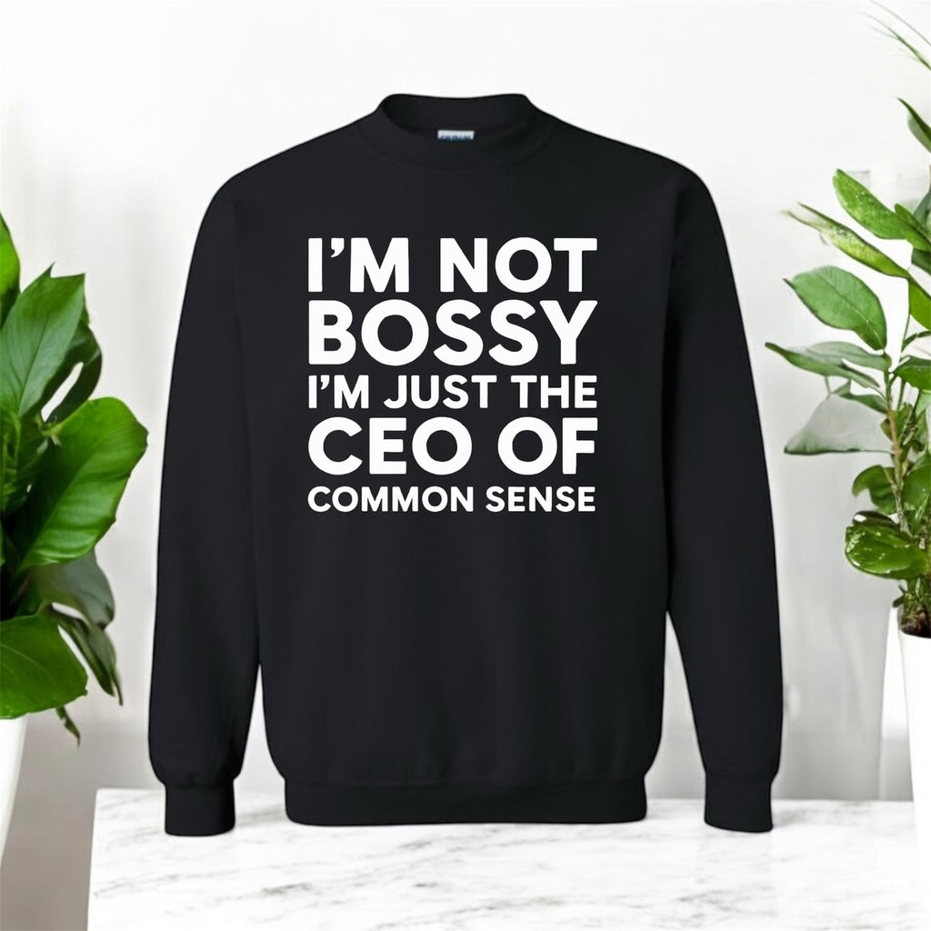 CEO of Common Sense Sweatshirt
